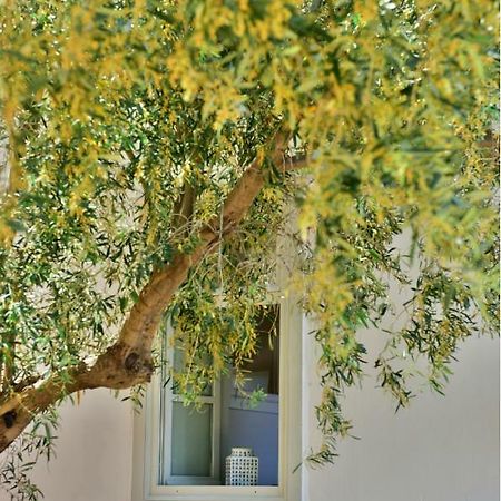이드라 Douskos Beach House 아파트 외부 사진